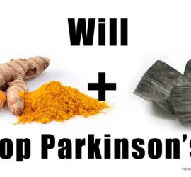 Will curcumin plus lithium stop Parkinson's?